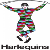  Harlequins  