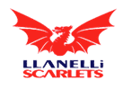 [2025 URC-RD 17] Scarlets Vs Lions Rugby Live Stream & Replay