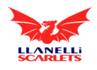 {URC - Rd 15} Scarlets Vs Sharks Live Stream & Replay 2024