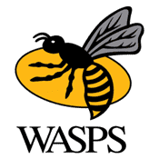  Wasps  