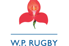 [Currie Cup-RD 1] Western Province Vs Blue Bulls 2025 Live Stream & Replay