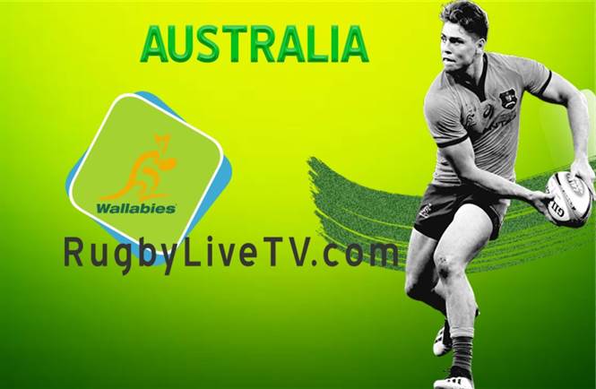 Australia Rugby Team Live Stream Results News