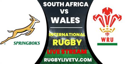 springboks-vs-wales-international-rugby-live-stream