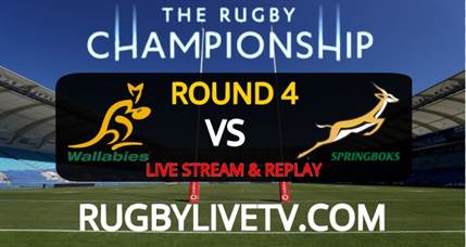 wallabies-vs-springboks-live-stream-full-replay