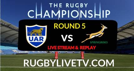 Argentina Vs South Africa Rugby Championship Rd 5 Live Stream