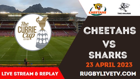 Cheetahs VS Sharks Live Stream Replay Currie Cup