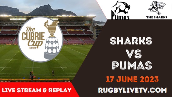 sharks-vs-pumas-semifinal-live-stream-replay-currie-cup