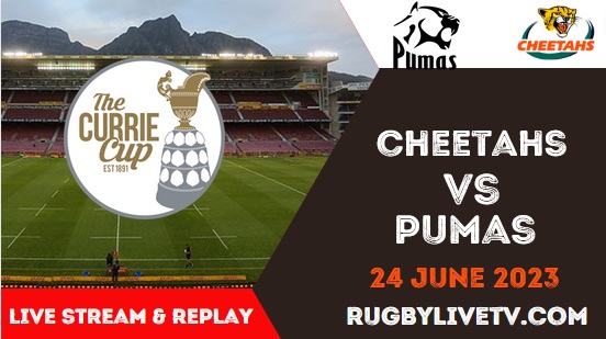 pumas-vs-cheetahs-grand-final-live-stream-replay-currie-cup