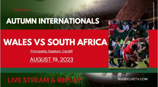 south-africa-vs-wales-international-rugby-live-stream-replay