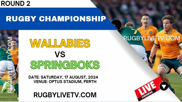wallabies-vs-springboks-live-stream-full-replay